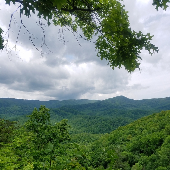 Hello! 🤗 - Picture 4 of 5